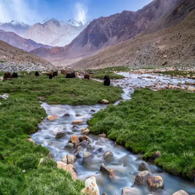 Nubra Valley