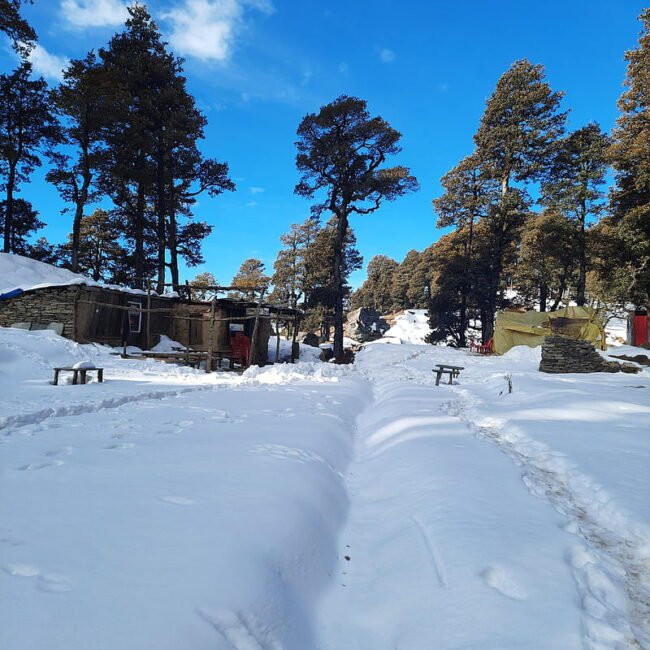 Snow View Manali